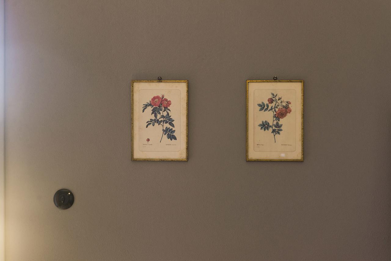 Le 3 Rane B&B Treggiaia 外观 照片
